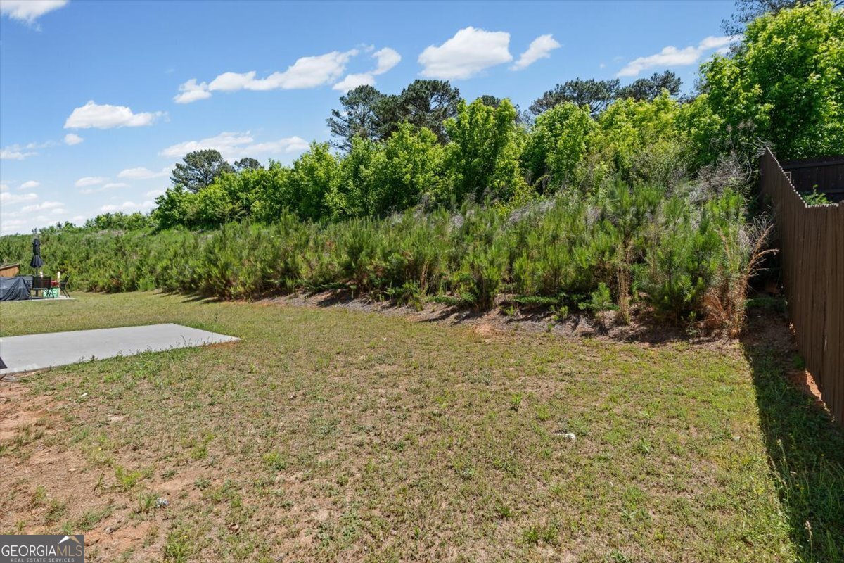 61 Pointe Place Dawsonville - Photo 39