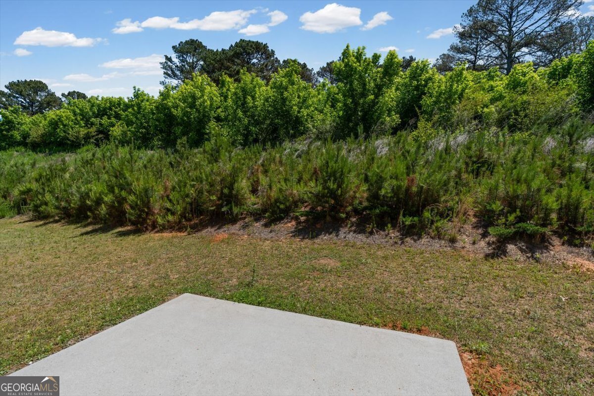 61 Pointe Place Dawsonville - Photo 40