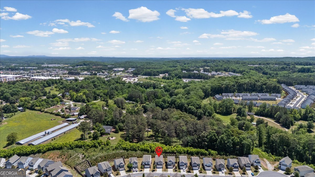 61 Pointe Place Dawsonville - Photo 43