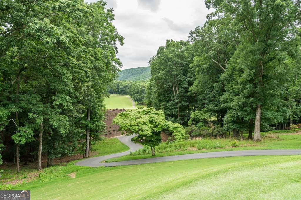 375 Valley View Vista Jasper - Photo 36