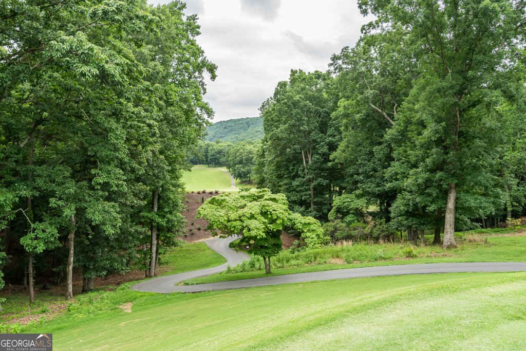375 Valley View Vista Jasper - Photo 69