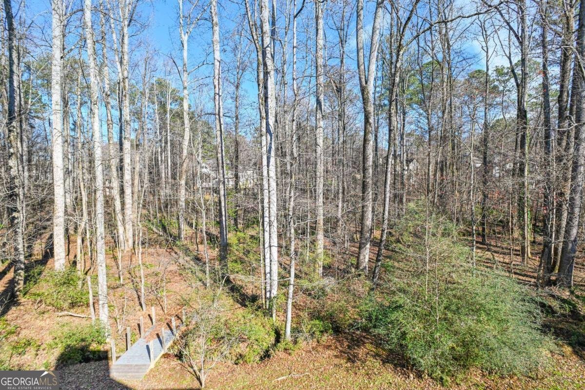 1525 HABERSHAM Place Cumming - Photo 69
