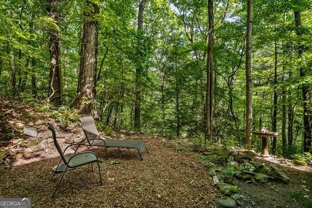 772 Double Knob Road Ellijay - Photo 47