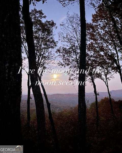 772 Double Knob Road Ellijay - Photo 62