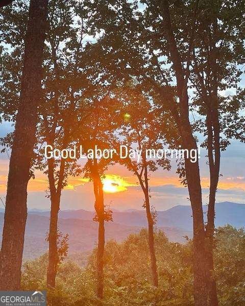772 Double Knob Road Ellijay - Photo 64