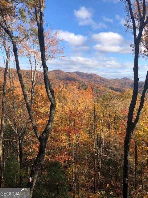 772 Double Knob Road Ellijay - Photo 75