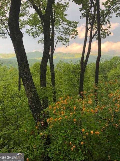 772 Double Knob Road Ellijay - Photo 83