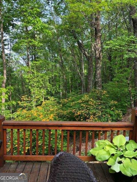 772 Double Knob Road Ellijay - Photo 92