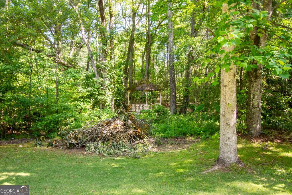 1719 Highway 81 McDonough - Photo 28
