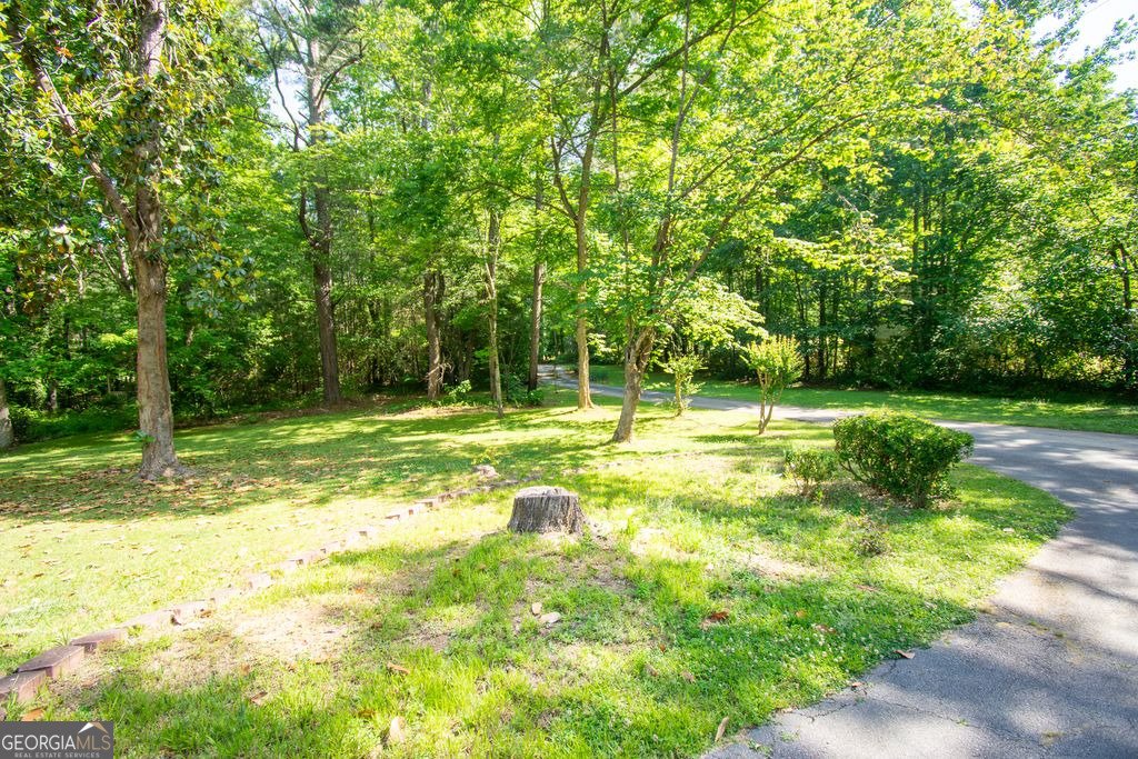1719 Highway 81 McDonough - Photo 29