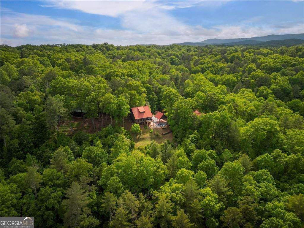 170 Wildwood Court Ellijay - Photo 42
