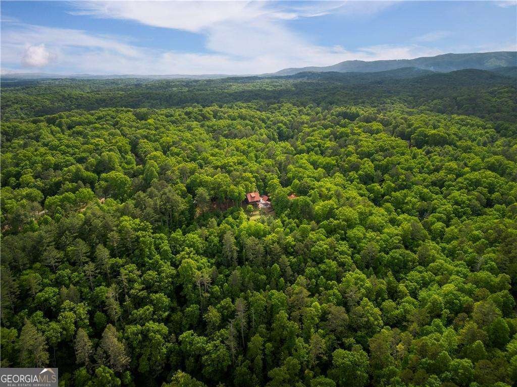 170 Wildwood Court Ellijay - Photo 43