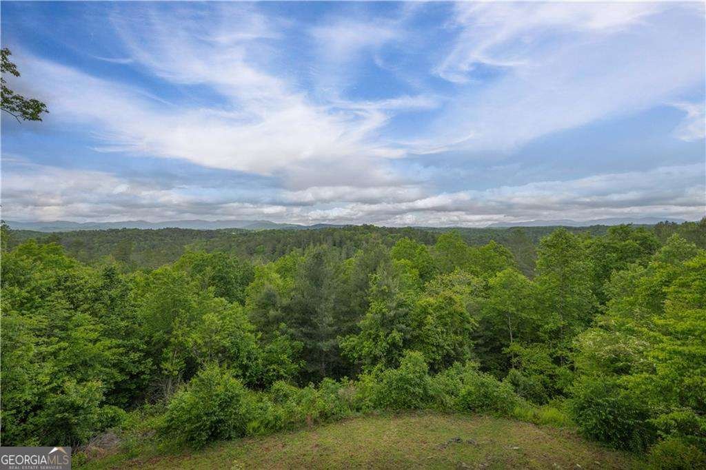 170 Wildwood Court Ellijay - Photo 46