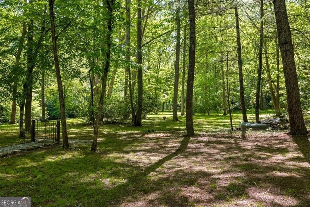 704 Riverbend Road Blairsville - Photo 81