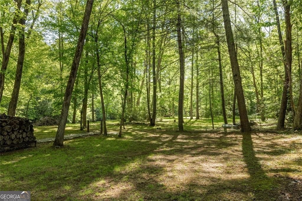 704 Riverbend Road Blairsville - Photo 85