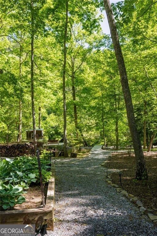 704 Riverbend Road Blairsville - Photo 87