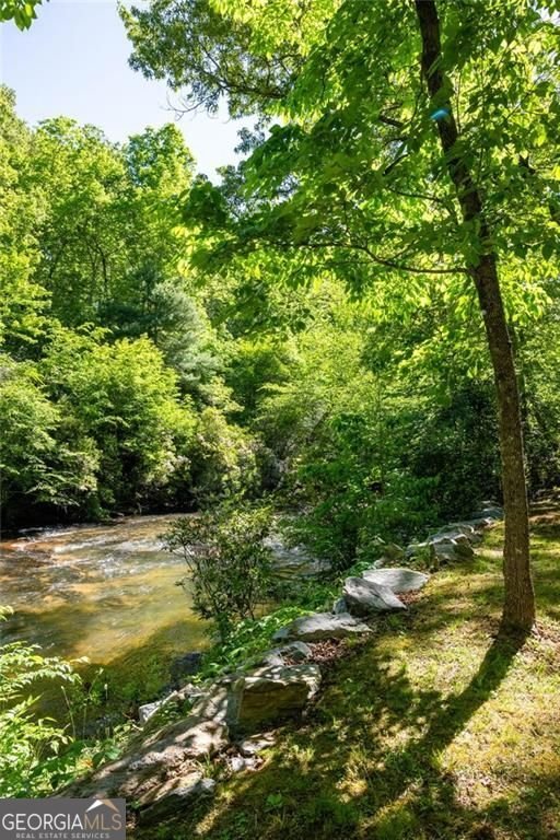 704 Riverbend Road Blairsville - Photo 89
