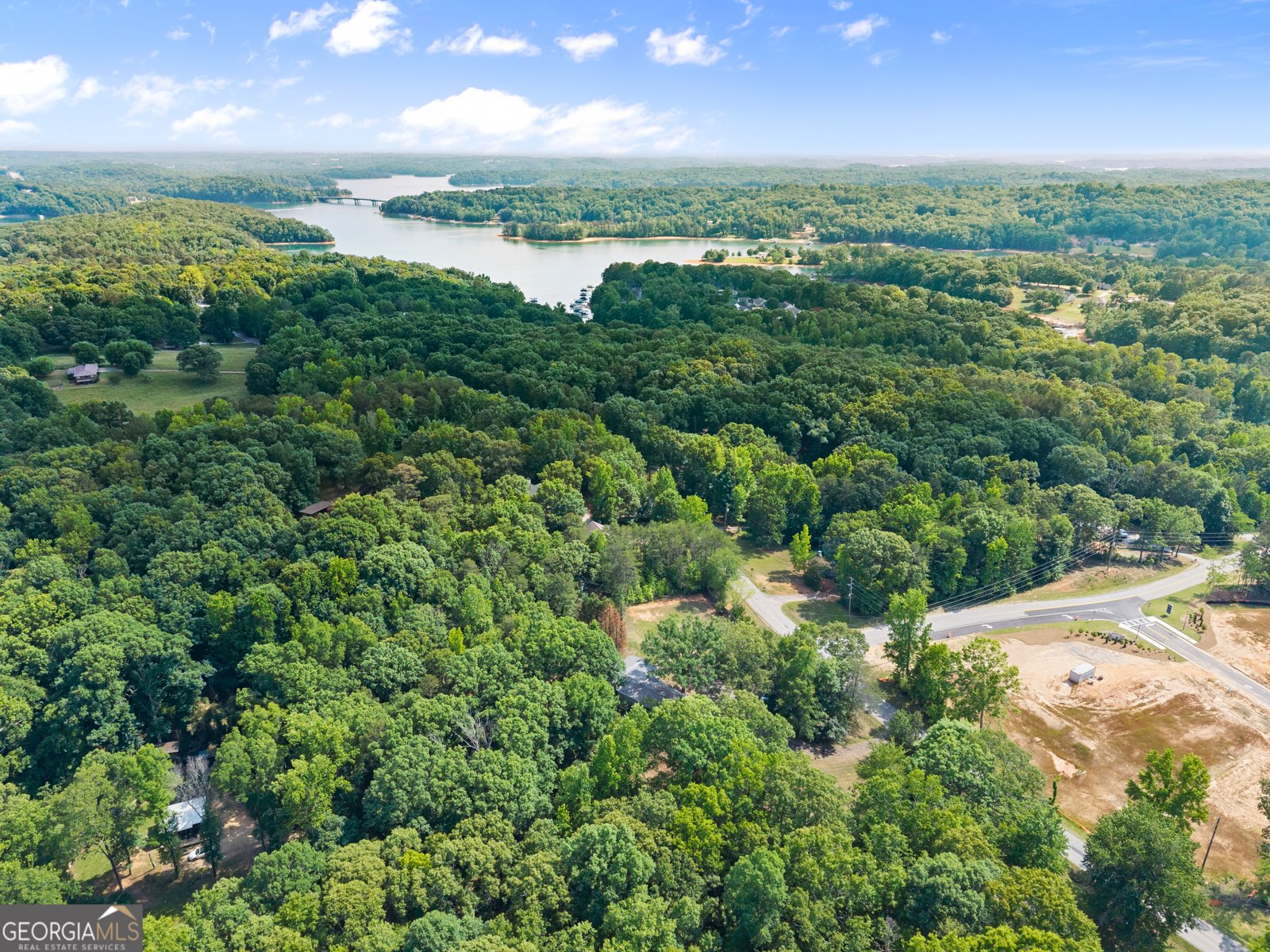 3501 Looper Lake Road Gainesville - Photo 46