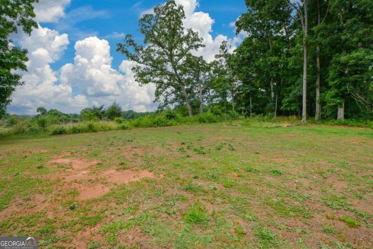 501 Spratlin Drive Jefferson - Photo 39