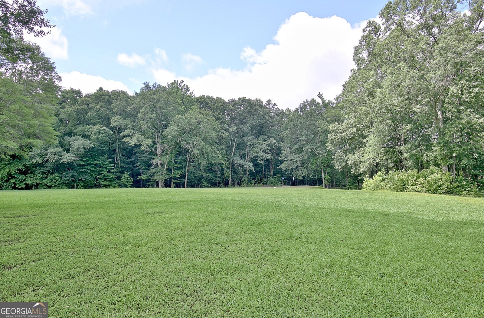 1827 Highway 92 Fayetteville - Photo 75