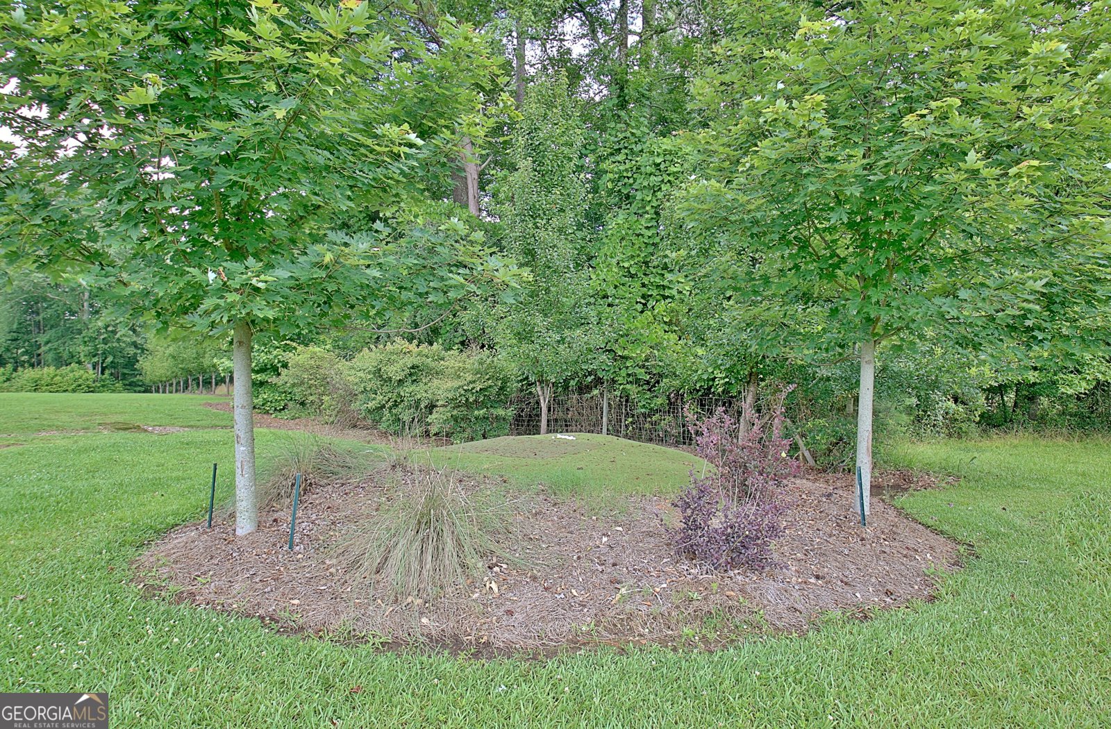 1827 Highway 92 Fayetteville - Photo 78