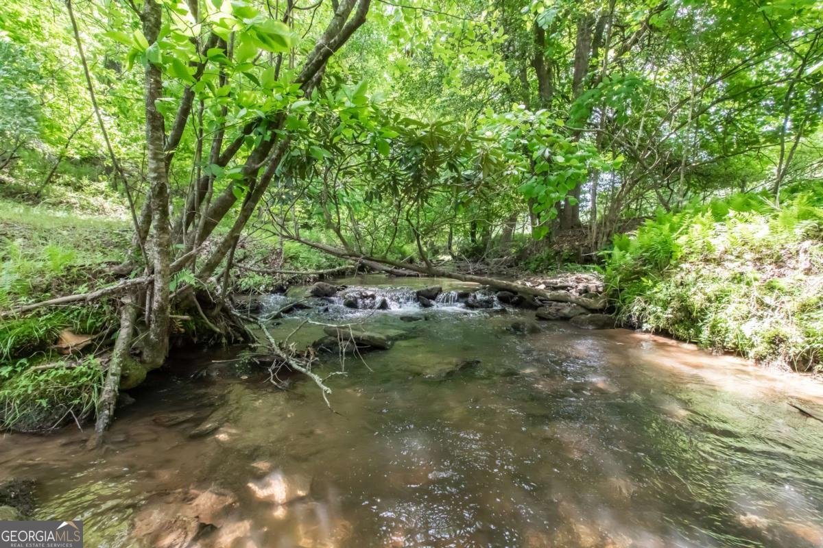 328 Black Ankle Creek Road Cherry Log - Photo 65