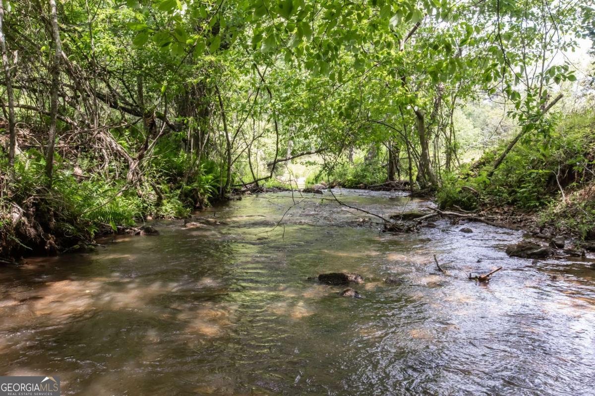 328 Black Ankle Creek Road Cherry Log - Photo 66