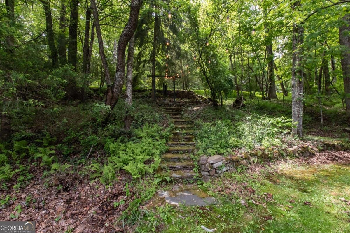 328 Black Ankle Creek Road Cherry Log - Photo 67