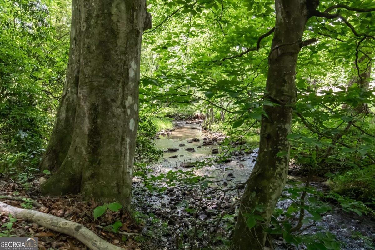 328 Black Ankle Creek Road Cherry Log - Photo 68