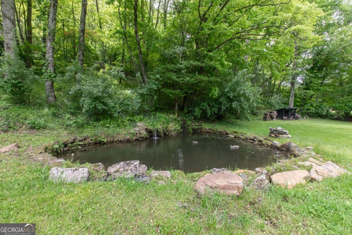 328 Black Ankle Creek Road Cherry Log - Photo 69