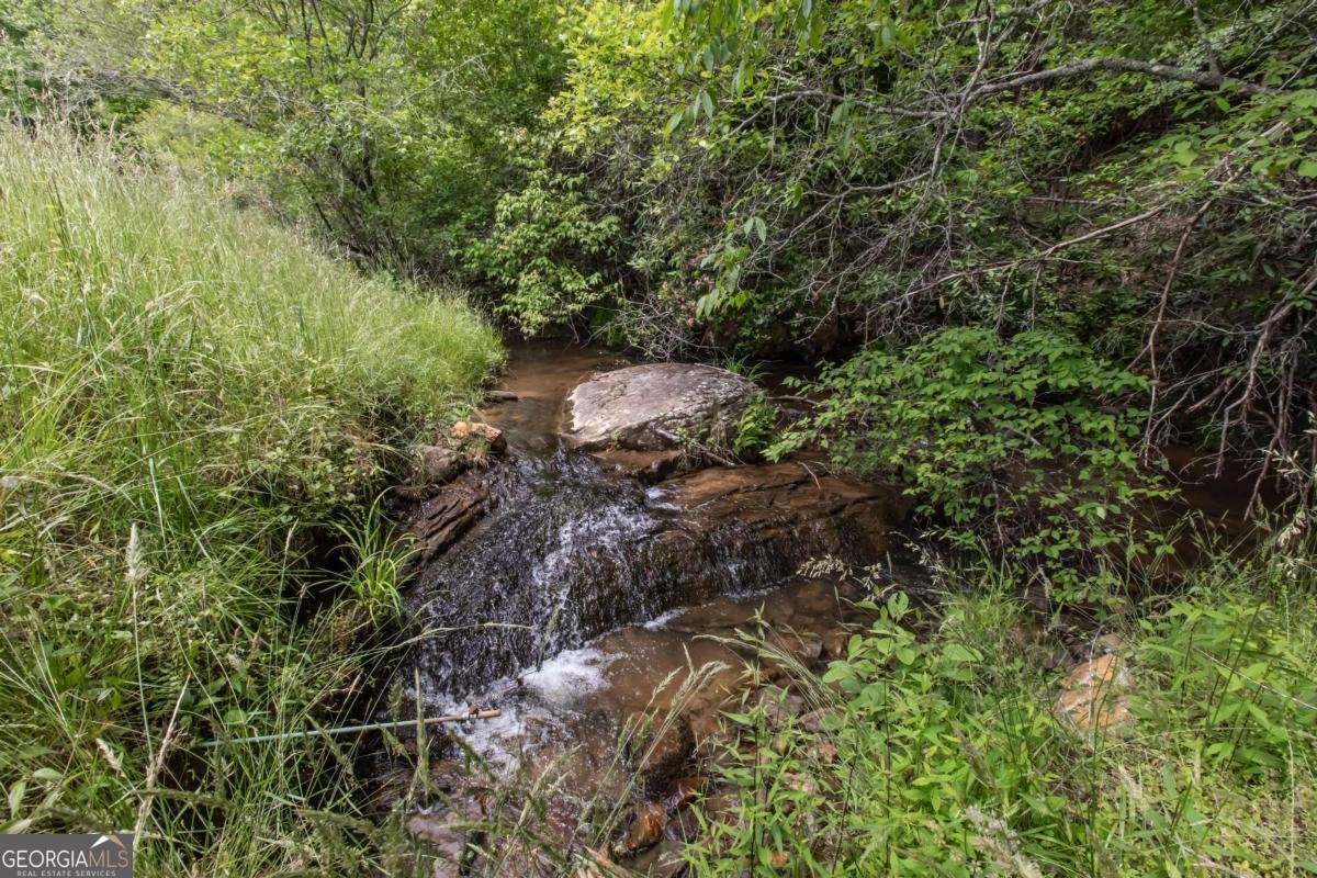 328 Black Ankle Creek Road Cherry Log - Photo 70
