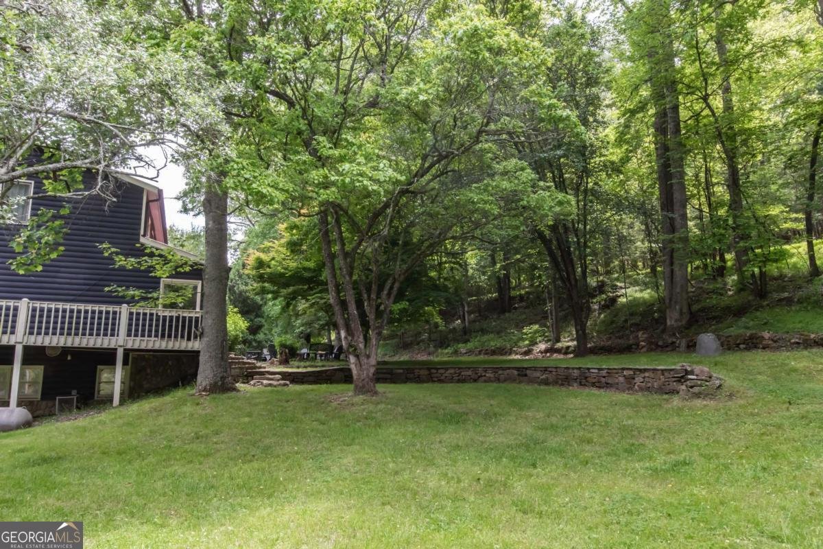 328 Black Ankle Creek Road Cherry Log - Photo 71