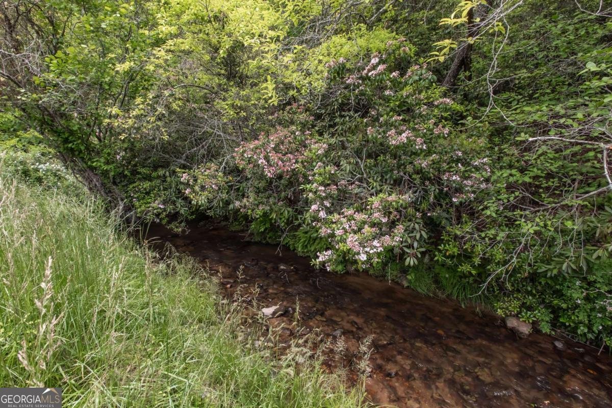 328 Black Ankle Creek Road Cherry Log - Photo 72