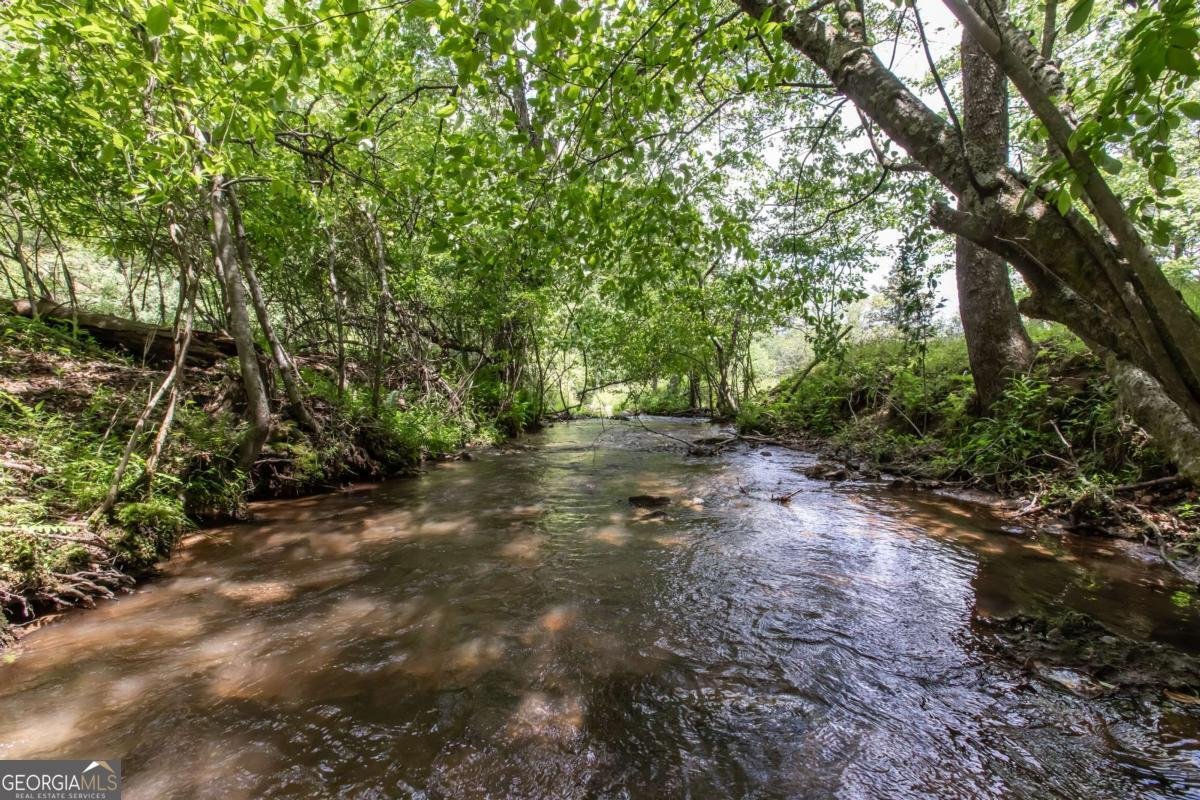 328 Black Ankle Creek Road Cherry Log - Photo 73
