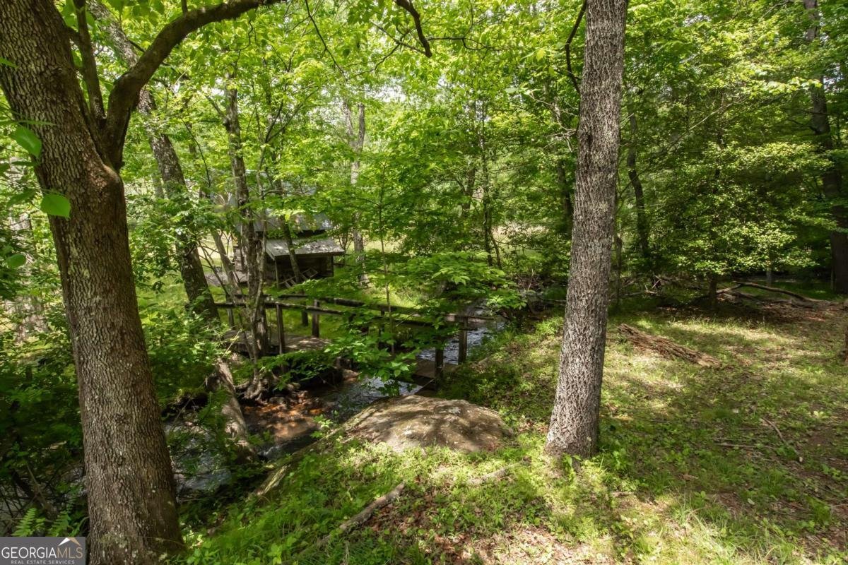 328 Black Ankle Creek Road Cherry Log - Photo 76