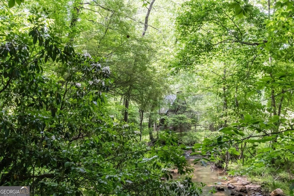 328 Black Ankle Creek Road Cherry Log - Photo 77