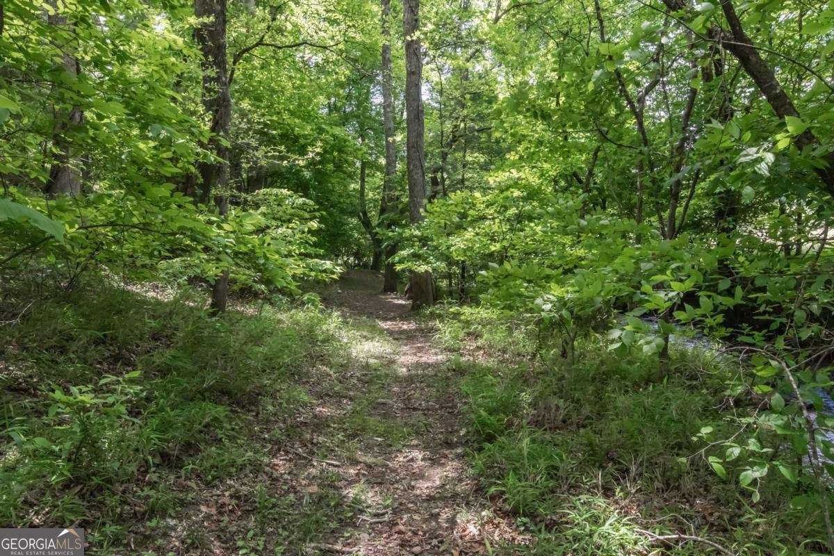 328 Black Ankle Creek Road Cherry Log - Photo 78