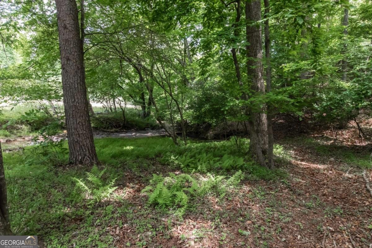 328 Black Ankle Creek Road Cherry Log - Photo 79