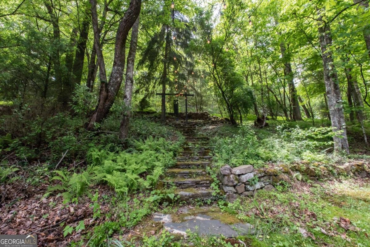 328 Black Ankle Creek Road Cherry Log - Photo 80