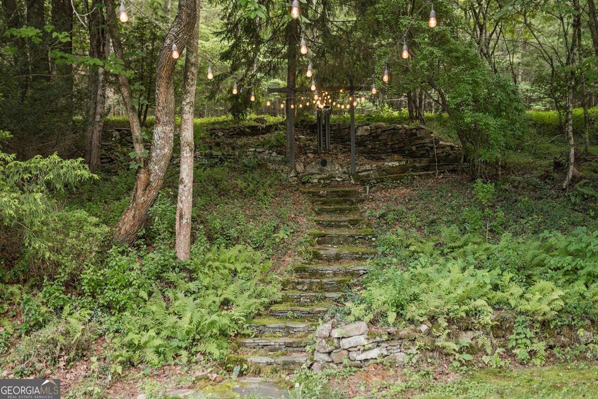 328 Black Ankle Creek Road Cherry Log - Photo 95