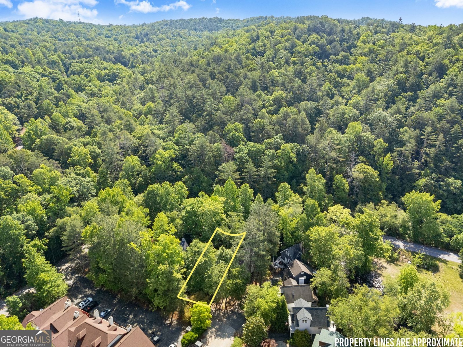 37 Misty Weg Helen - Photo 31