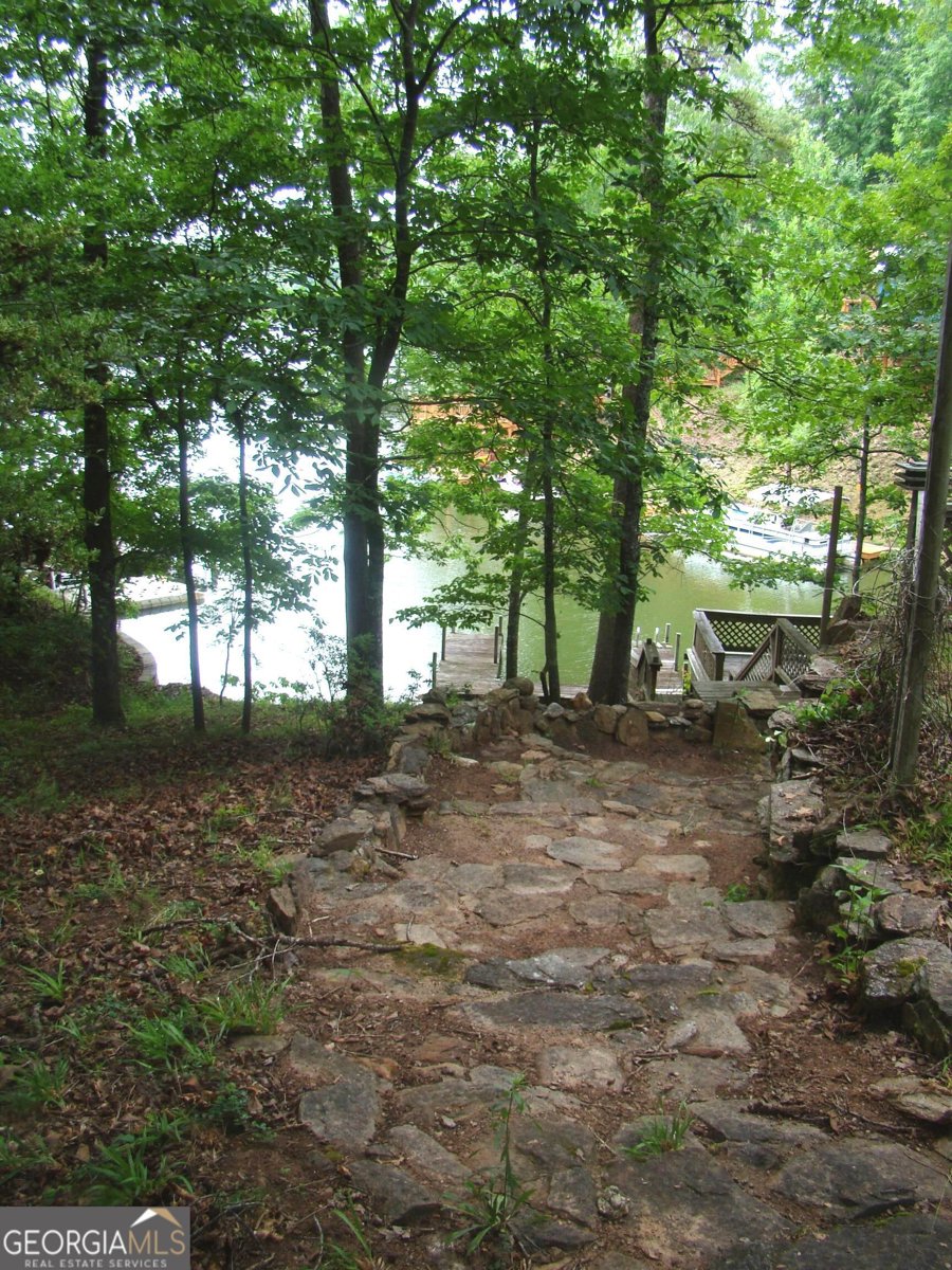 38 Morrisons Point Dr Wedowee - Photo 33