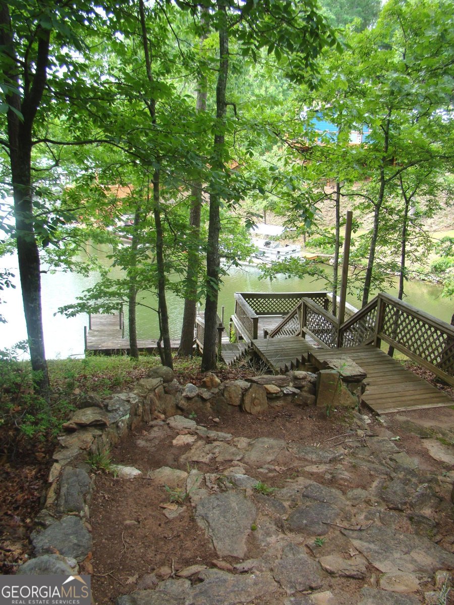 38 Morrisons Point Dr Wedowee - Photo 34