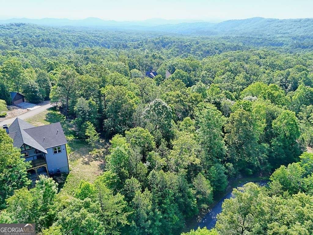 383 Rustic Barn Trail Morganton - Photo 68