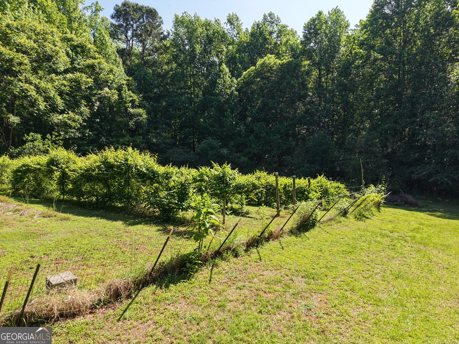 144 Wiley Drive Douglasville - Photo 12