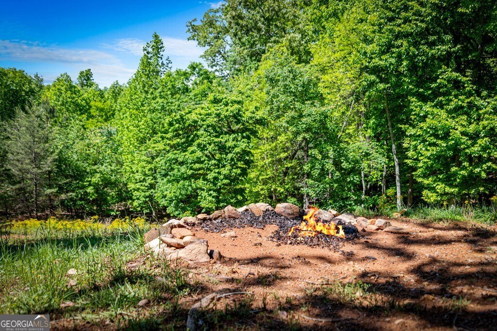 479 Big Timber Road Mineral Bluff - Photo 53