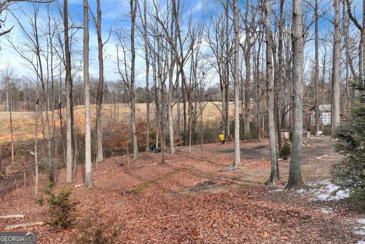 116 Highway 323 Highway Maysville - Photo 40