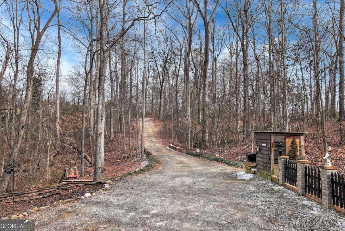 116 Highway 323 Highway Maysville - Photo 44