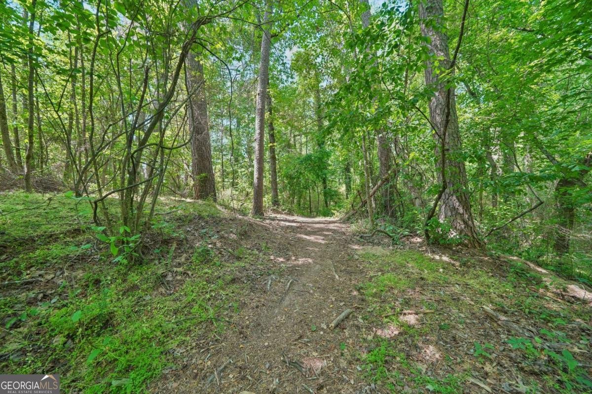 3622 Goldenrod Lane Buford - Photo 47