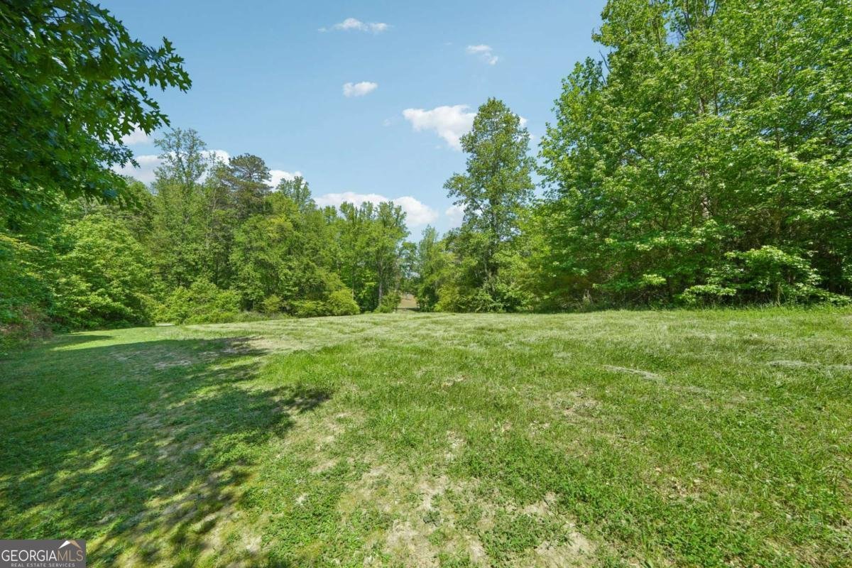 3622 Goldenrod Lane Buford - Photo 49